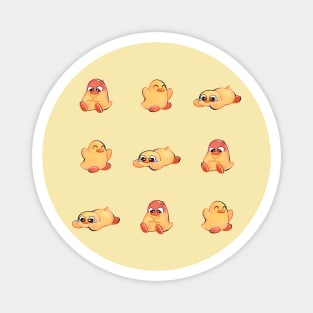 3 Baby Chicks Pattern Magnet